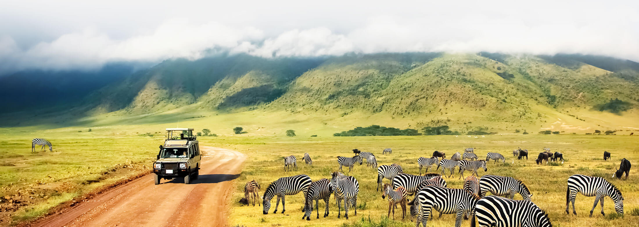 Sense of Africa