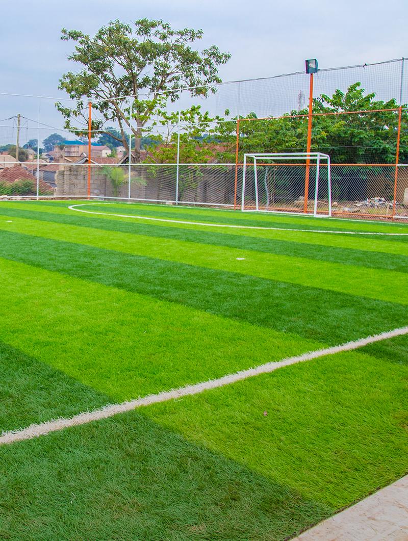 Soccer pitch